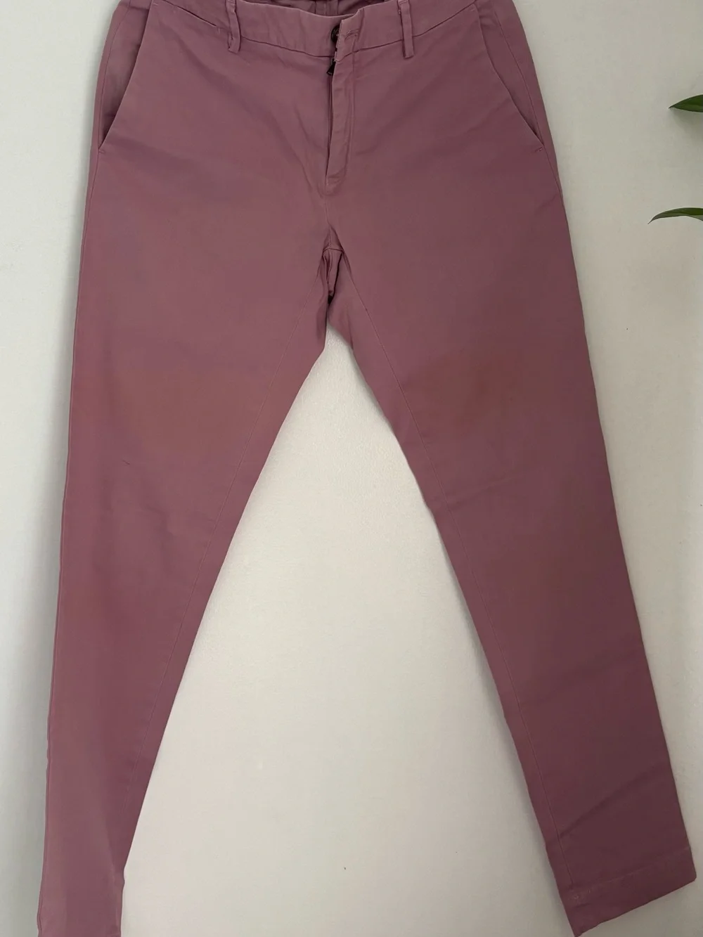 Mason's New York Men's Pink Cotton Chino Pants Made in Bulgaria- Size 46